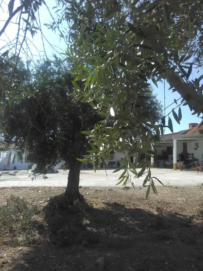 Quintinha Dos Pombinhos Villa Montoito ภายนอก รูปภาพ