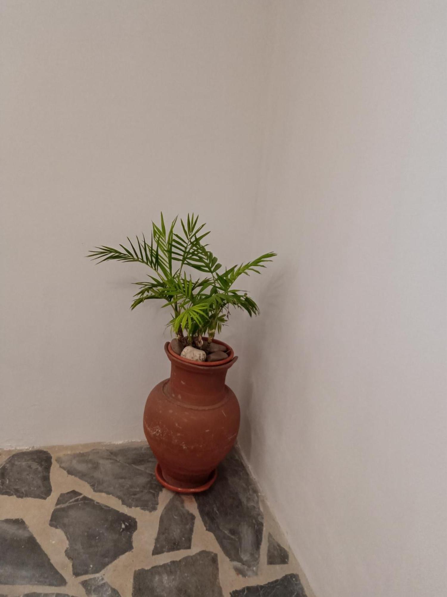 Quintinha Dos Pombinhos Villa Montoito ภายนอก รูปภาพ