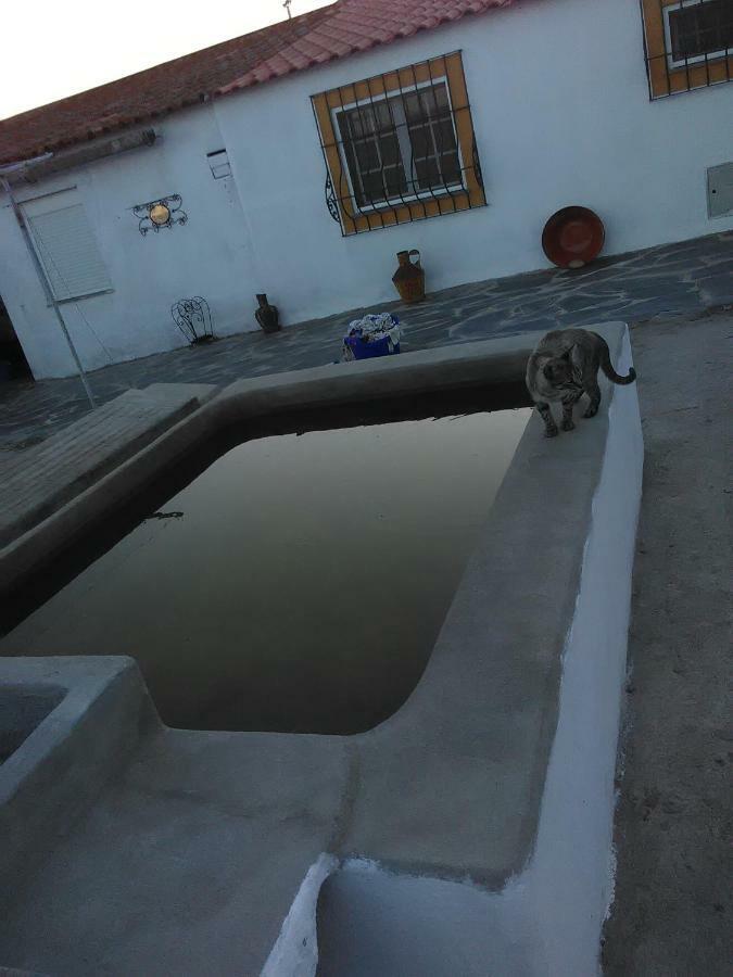 Quintinha Dos Pombinhos Villa Montoito ภายนอก รูปภาพ